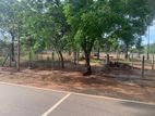 Land Tellipalai