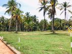 Land to Sale in Weerabugedara - 15 P