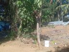 Land for Sale Jaffna