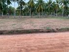 Land sale-Aluthmalkaduwawa