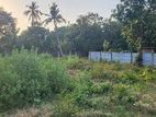 Land for Sale Kilinochchi