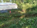 Land with 9000sqft Polytunnel Project, 7 Km to Ahangama Juntion