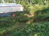 Land with 9000sqft Polytunnel Project, 7 Km to Ahangama Juntion
