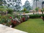 Land with a Bungalow For Sale in Nuwaraeliya - CL690