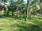 Land with A Coconut Farm for Sale in Kurunegala, Thalatuwa