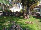 Land with A House for Sale (3954) Katubedda