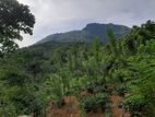 Land with A House for Sale - Belihuloya