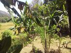 Land with A House for Sale Kegalle