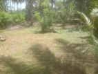 Land with A House for Sale Hettipola, Mandapola