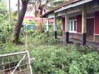 Land with House for Sale Balapitiya