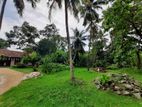 Land with a house for sale in Katana - Negombo (SSPL-317)