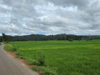 Land with A House for Sale in Matara Kirinda Puhulwella