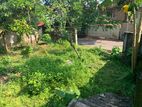 Land with A House for Sale kaluthara town