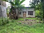 Land With A House Sale In Borelasgamuwa - CL386