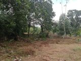 Land with a large black rock is for sale Gonapola, Horana