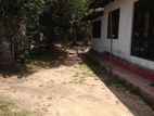Land with An Old House for Sale in Katunayake