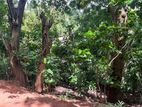 Land with an old house for sale in Poornawatte Kandy
