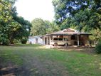Land with Building for Sale – Near Gal Vihara, Polonnaruwa (EM171)