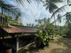 Land with Chicken Farm Nattandiya