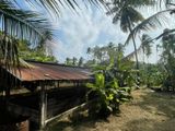 Land with Chicken Farm Nattandiya