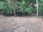 Land with Container Box for Sale Peradeniya