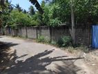 Land with Farm Sale at Alaveddy