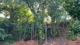 Land With Half Built House For Sale Rajagiriya