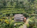 Land With holiday Villa | 2 Acres Cinnamon in Poddala