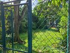 Land with House - 28.6 Perches for Sale in Colombo 08 (A6188)