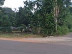 Land with House for Sale Anuradhapura