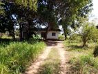 Land with House for Sale Anuradhapura