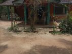 Land with House for Sale Anuradhapuraya