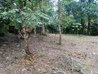 Land with House for Sale at Kirillawala, Kadawatha.