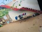 Land With House For Sale Batticaloa