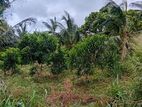 Land with House for Sale Dambulla