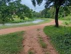 Land with House for Sale Dambulla