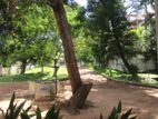 Land with House for Sale Dehiwala