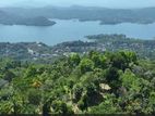 Land with House for Sale Facing Victoria Reservoir - Kandy