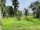 Land with House for Sale – Giriulla, Dambadeniya - Thi/ls/0012
