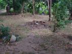 Land with House for Sale in Adiambalama