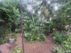 Land with House for Sale in Angoda