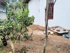 Land with House for Sale In Batuwatta Narangodapaluwa