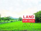 Land With House For Sale In Dehiwala Junction - Kawdana Road