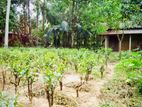 Land with House for sale in Galle, Nagoda