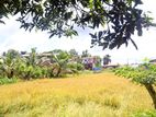Land with House for Sale in Horana – Scenic Paddy Field Views