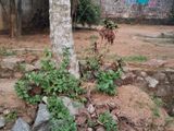 Land with House for Sale in Kahathuduwa