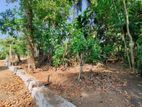 Land with House for Sale in Kalutara (Commercial or Residential)