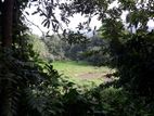 LAND WITH HOUSE FOR SALE IN KANDY MENIKHINNA