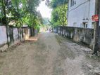 Land With House For Sale in Kawdana Road, Pallidora