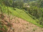 Land with House for Sale in Keppetipola